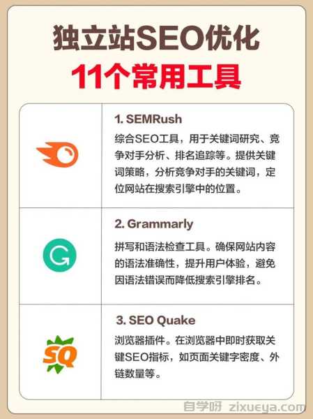 SEO工具大比拼，谁才是网站优化的终极利器？