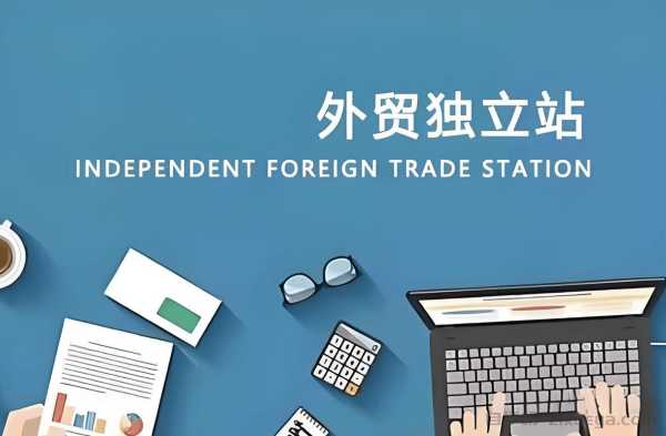 外贸独立站在谷歌搜索引擎没有自然流量是什么原因？