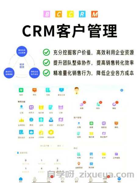 网站优化与CRM系统集成，提升用户体验与销售转化的双赢策略