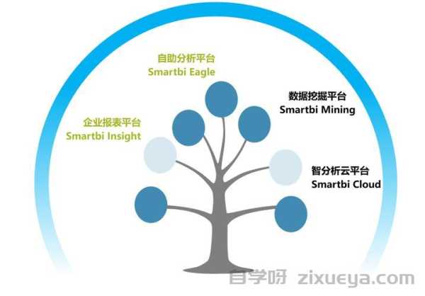 网站流量分析新纪元，BI系统赋能数据驱动决策