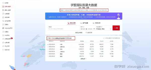 海关编码展示，外贸独立站提升转化率的关键策略