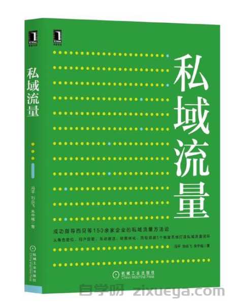 网站流量劫持危机，全方位取证与高效恢复实战指南