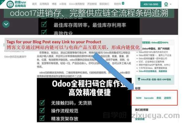 必应收录查询工具，提升网站SEO效率的利器