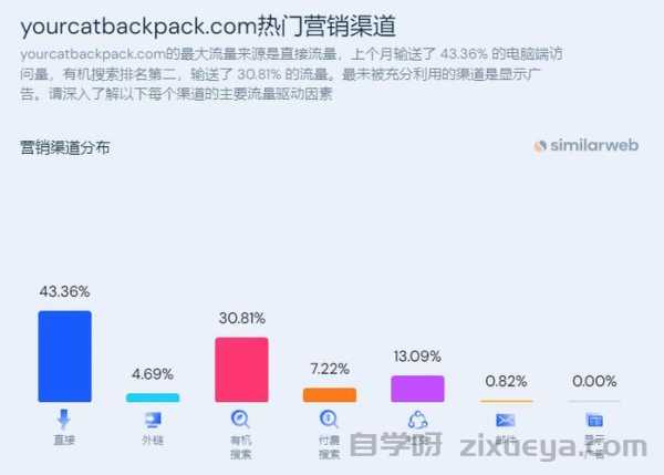 为什么我的独立站没有自然流量？全面解析与解决方案