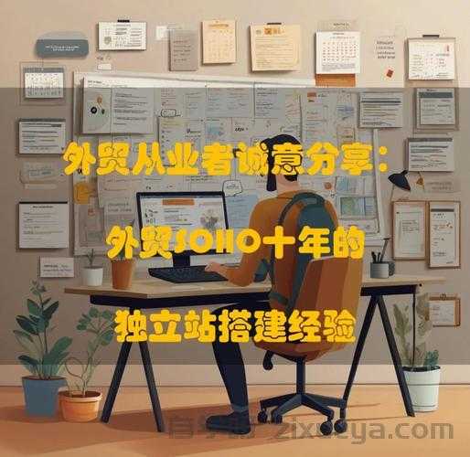 外贸独立站建设费用详解，成本分析、实例与个人建议