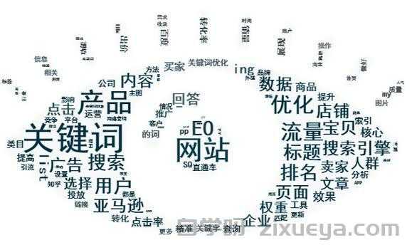 网站结构化数据测试工具，提升SEO效果的关键利器