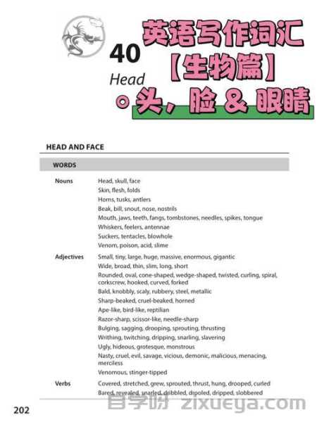&amp;描述