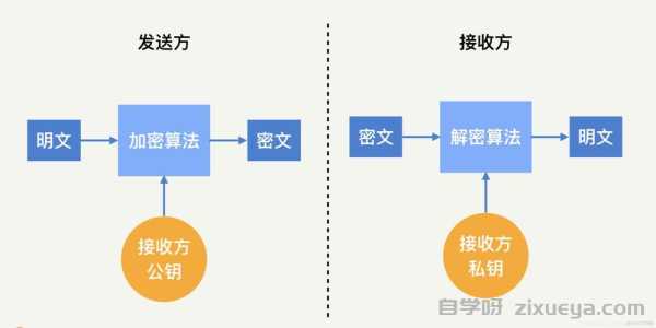 解密核心算法，逆向工程的实战方法与技巧