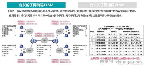 网站排名与域名年龄权重的关系，深度分析与实例探讨