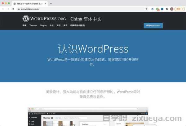 Zblog与WordPress建站对比分析，哪个更适合你的需求？