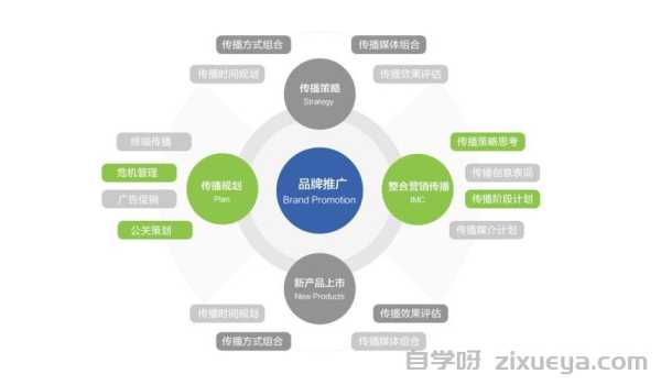 广州SEO公司案例展示，成功策略与实战分析