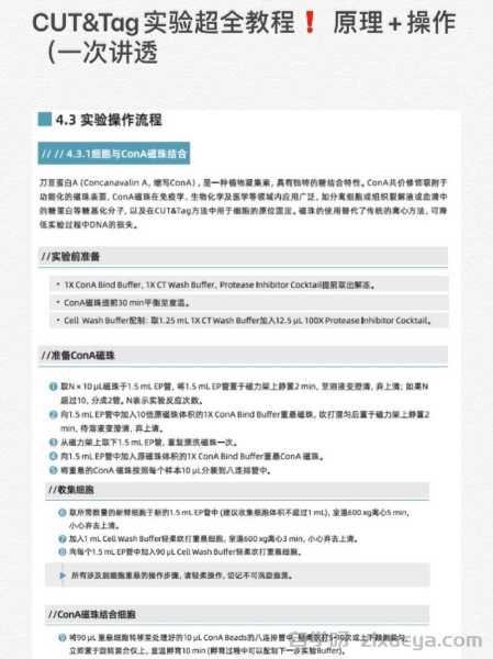 百度优化点击率提升技巧：让你的网站流量翻倍