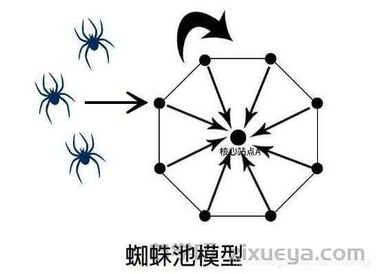 蜘蛛池链接权重传递机制解析，原理、作用与实战应用
