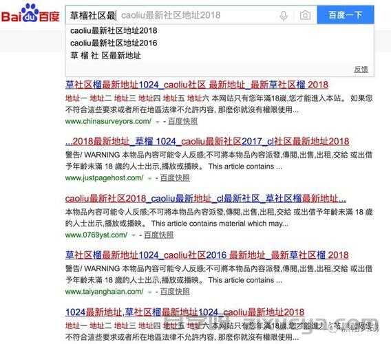 黑帽SEO快排关键词波动监控，网站运营者的双刃剑
