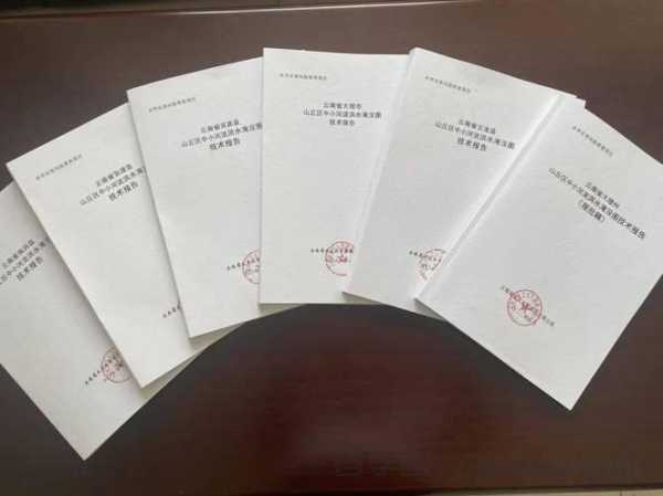 黑帽SEO快排技术风险分析报告