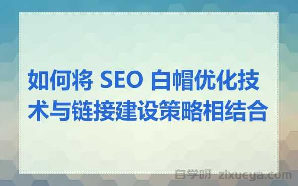 白帽SEO百度百科引用提升权重法，策略、案例与深度分析