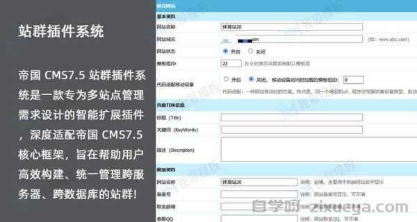 站群管理系统推荐，高效管理多站点的利器