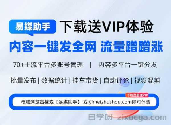 泛二级站群内容策略，提升流量与品牌影响力的有效途径