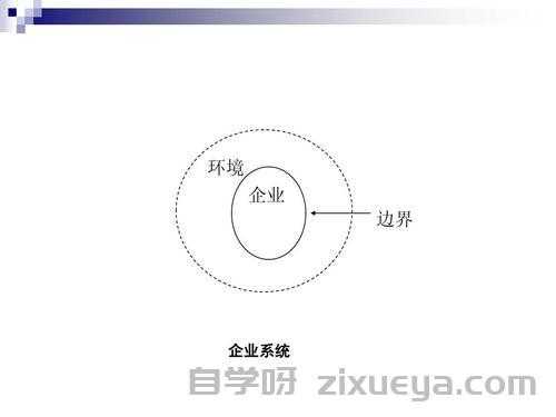 蜘蛛池在灰色SEO中的战略作用与效果分析