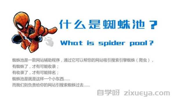 蜘蛛池租用服务商，提升网站收录的高效工具